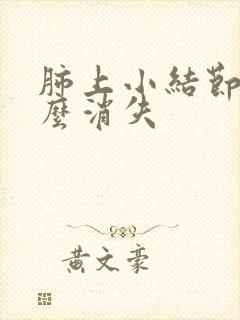 肺上小结节吃什么消失