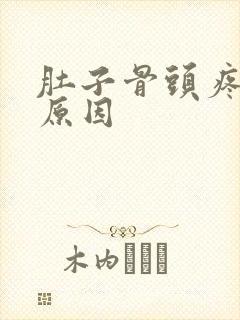 肚子骨头疼什么原因
