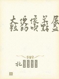 大便像羊屎粒一粒的吃点益生菌能改善吗