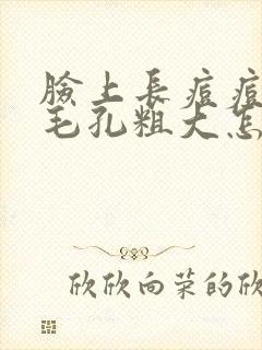 脸上长痘痘出油毛孔粗大怎么办