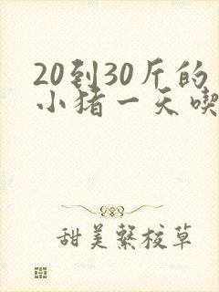 20到30斤的小猪一天吃多少料封面