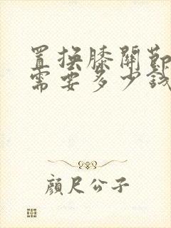 置换膝关节手术需要多少钱