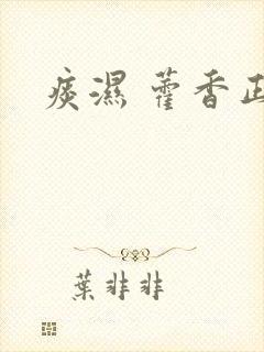 痰湿 藿香正气