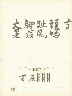 大脚趾头有点痛是痛风吗