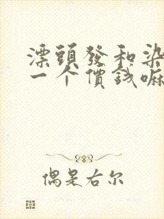 漂头发和染头发一个价钱嘛