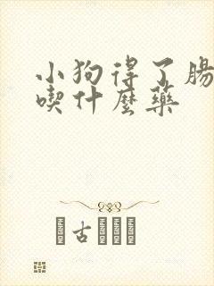 小狗得了肠胃炎吃什么药