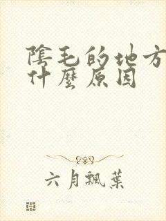 阴毛的地方痒是什么原因