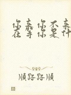 你来你不来我都在等你是什么歌曲