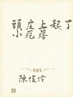 头皮上起了很多小疙瘩封面