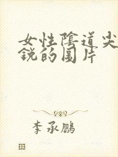 女性阴道尖疣湿锐的图片