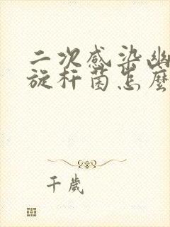二次感染幽门螺旋杆菌怎么办啊