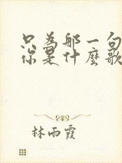 只为那一句我爱你是什么歌的歌词