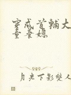 穿成首辅大人的童养媳