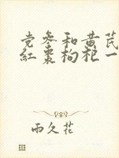 党参和黄芪当归红枣枸杞一起泡水喝的功效