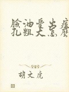 脸油爱出痘痘毛孔粗大怎么办