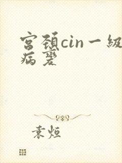 宫颈cin一级病变