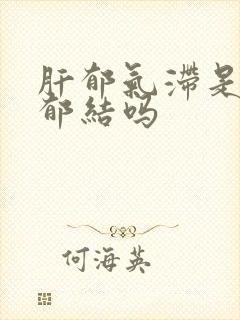 肝郁气滞是肝气郁结吗封面