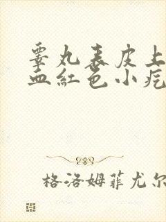 睾丸表皮上有个血红色小疙瘩是怎么回事