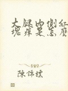 大腿内侧红色斑块痒是怎么回事