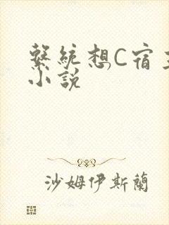 系统想C宿主的小说封面