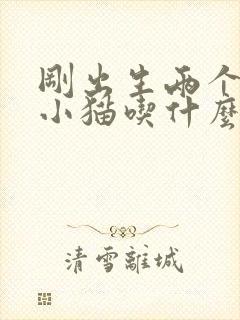 刚出生两个月的小猫吃什么封面