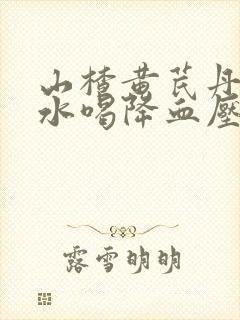 山楂黄芪丹参泡水喝降血压吗