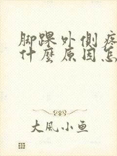 脚踝外侧疼痛是什么原因怎么治疗
