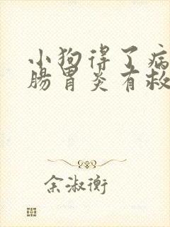 小狗得了病毒性肠胃炎有救么