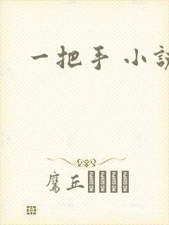 一把手 小说