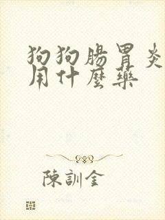 狗狗肠胃炎打针用什么药