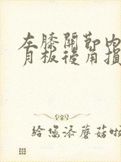 左膝关节内侧半月板后角损伤3级