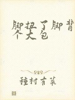 脚扭了脚背肿了个大包