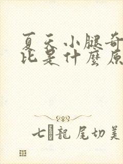 夏天小腿奇痒无比是什么原因