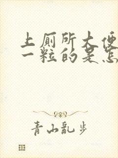 上厕所大便一粒一粒的是怎么回事
