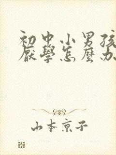 初中小男孩叛逆厌学怎么办