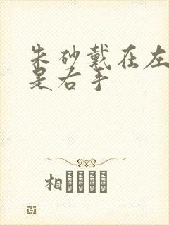 朱砂戴在左手还是右手封面