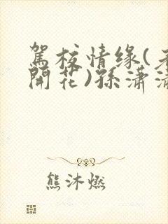 驾校情缘(老树开花)孙潇潇笔趣阁