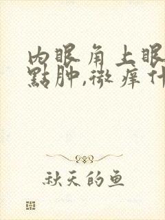 内眼角上眼皮有点肿,微痒什么原因