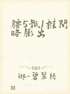 腰5骶1椎间盘略膨出封面