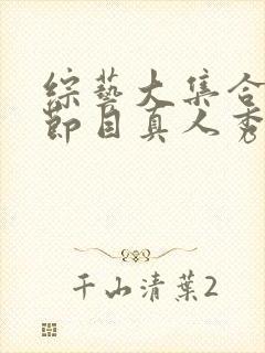 综艺大集合综艺节目真人秀