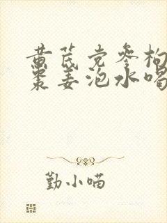 黄芪党参枸杞红枣姜泡水喝的功效封面