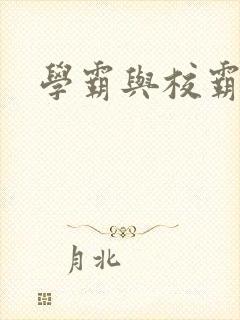 学霸与校霸