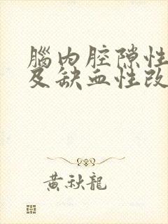 脑内腔隙性梗塞及缺血性改变