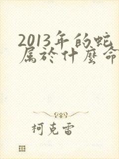 2013年的蛇属于什么命