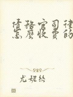 债务官司律师是怎么收费的
