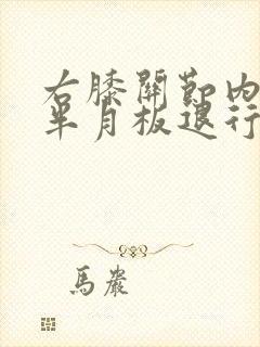 右膝关节内外侧半月板退行性变