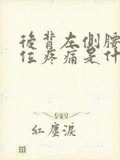 后背左侧腰上部位疼痛是什么原因