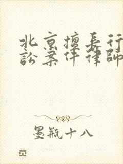 北京擅长行政诉讼案件律师事务所封面
