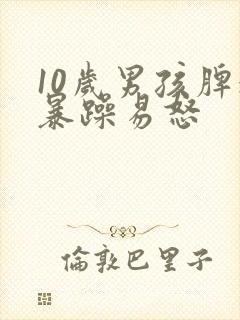 10岁男孩脾气暴躁易怒