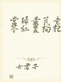 当归黄芪党参茯苓红枣枸杞的功效